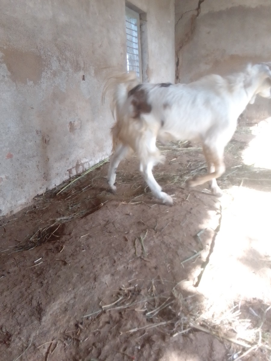 Post Image 1