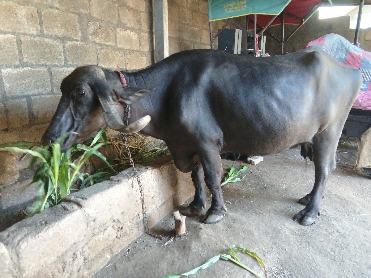Post Image 2