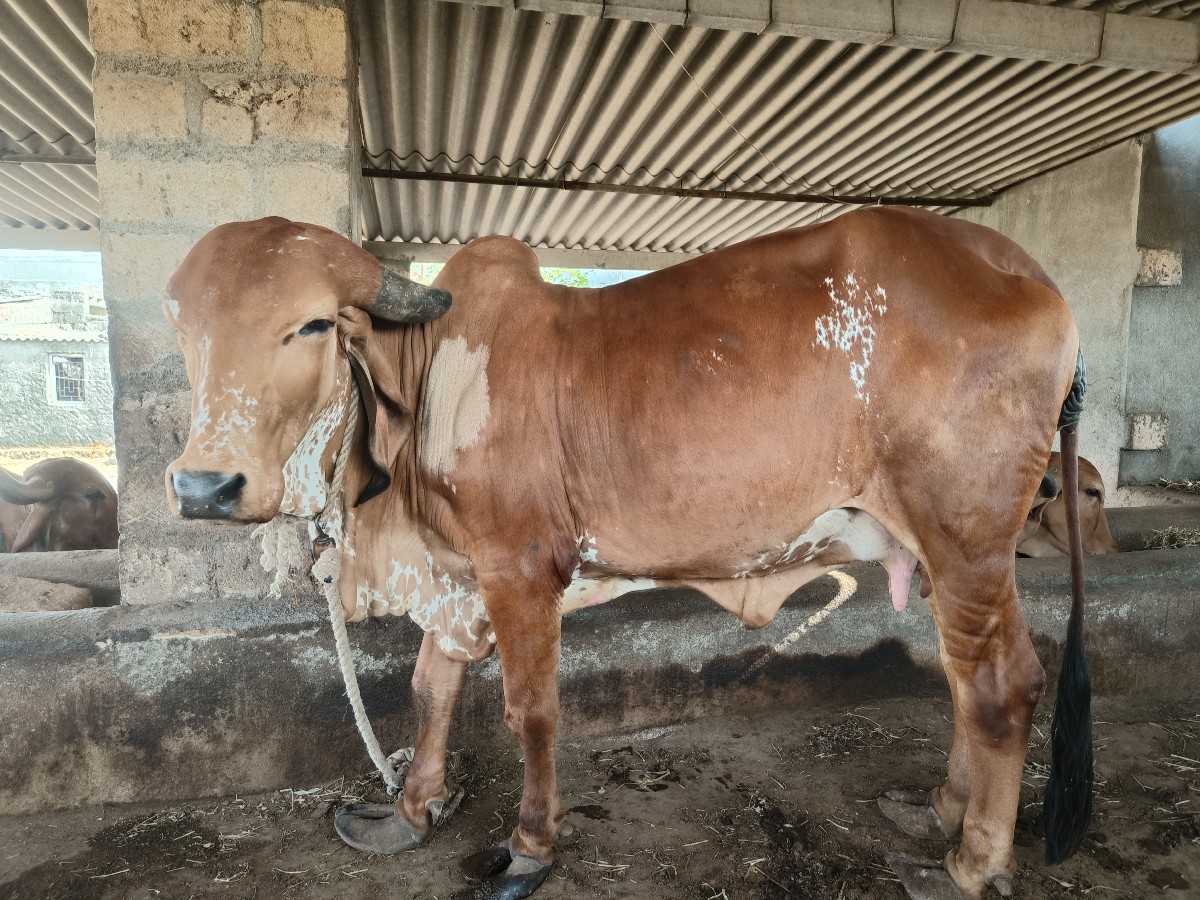 Post Image 2