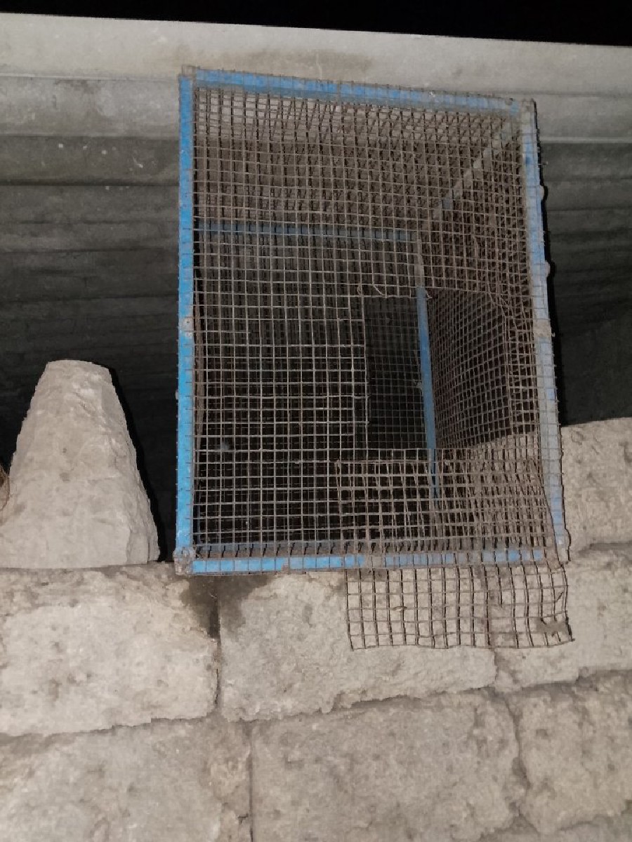 Post Image 2