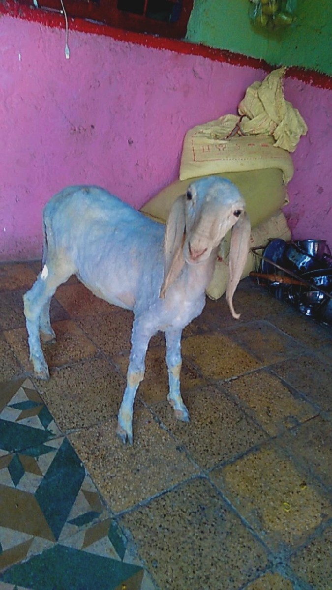 Post Image 1