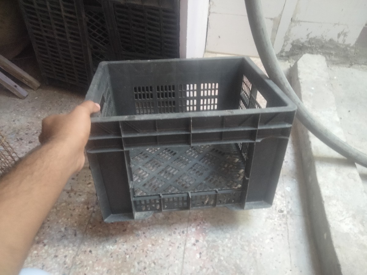 Post Image 3
