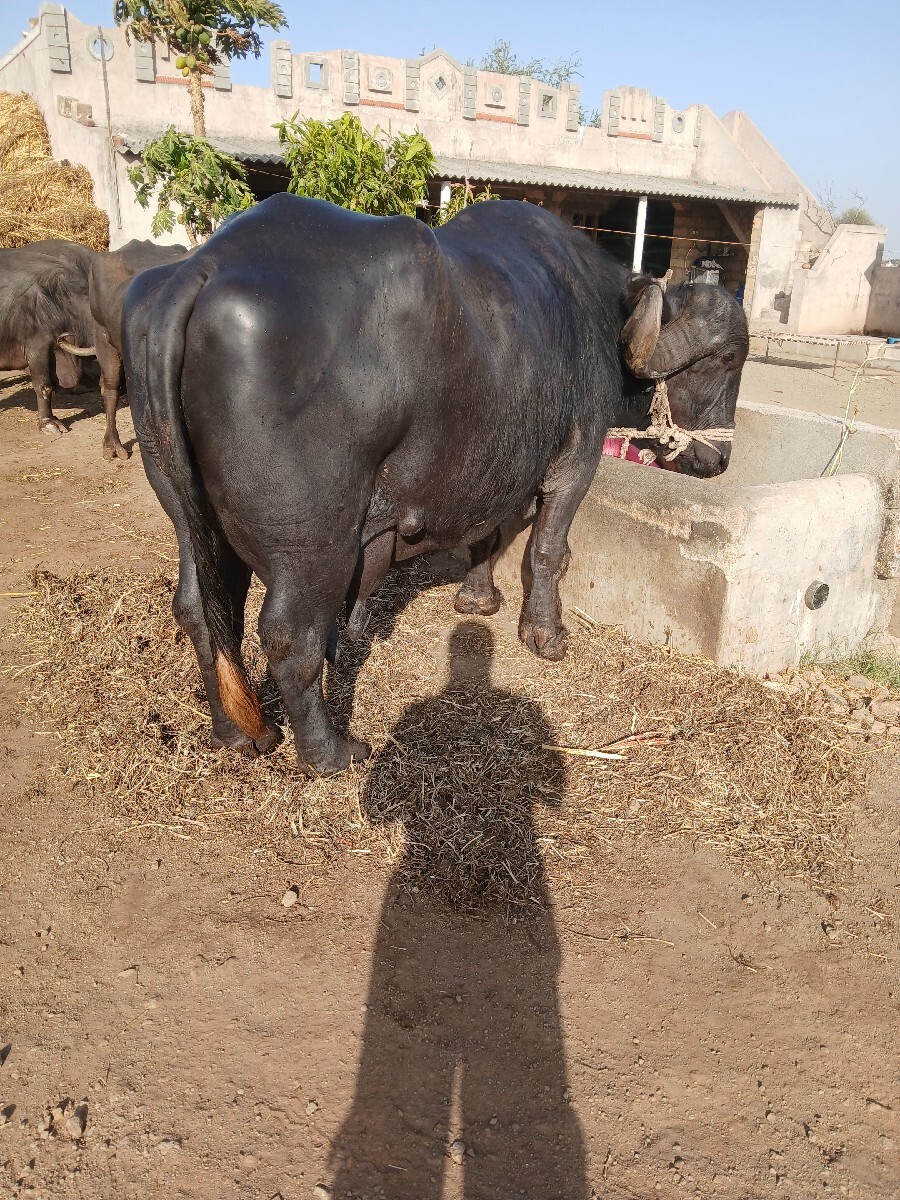 Post Image 2
