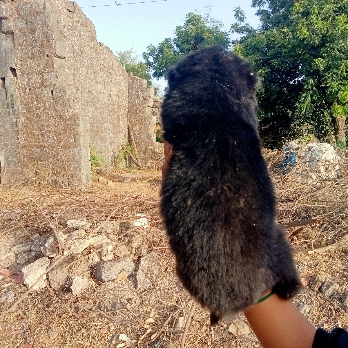 Post Image 2