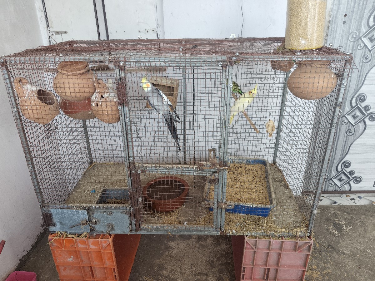 Post Image 2