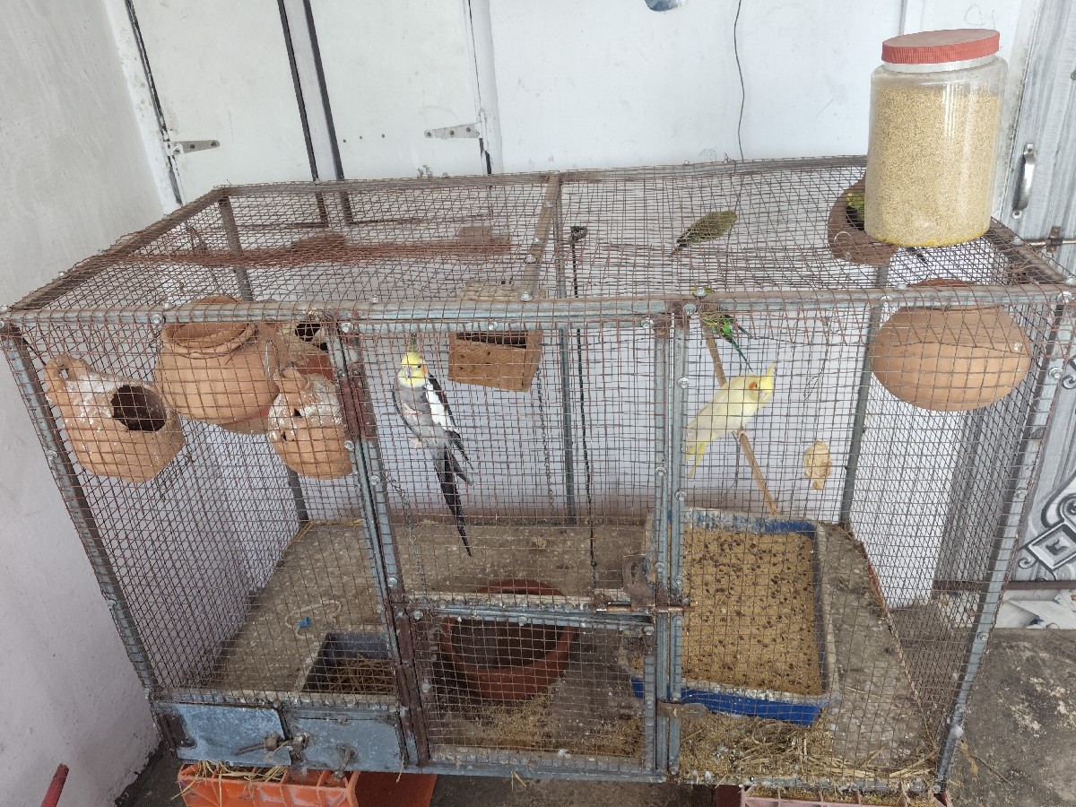 Post Image 3