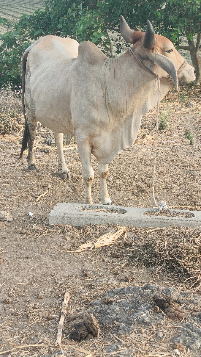 Post Image 6