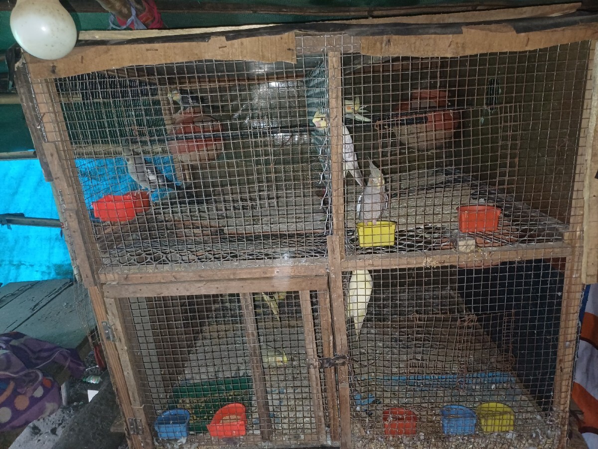 Post Image 3