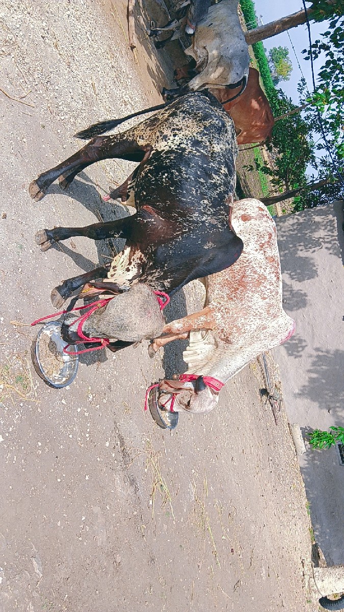 Post Image 2