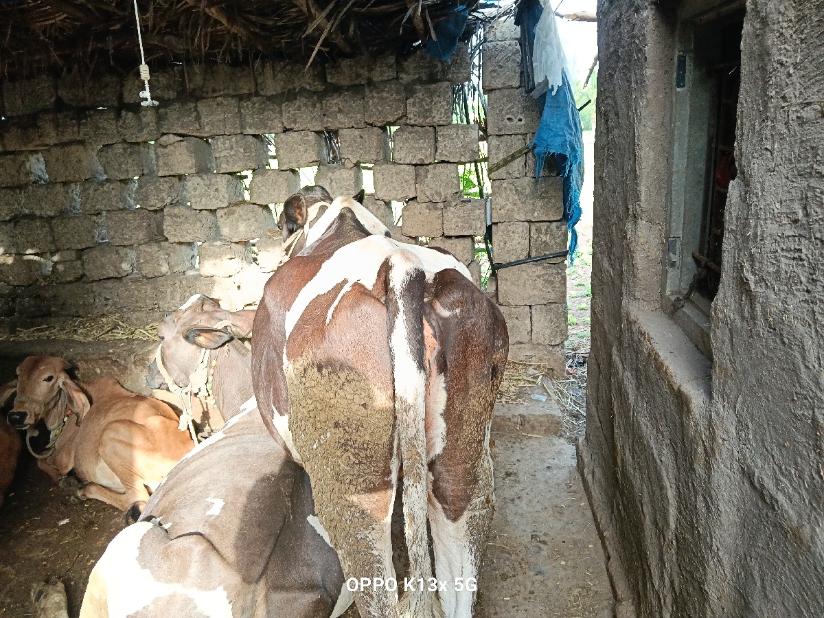 Post Image 3