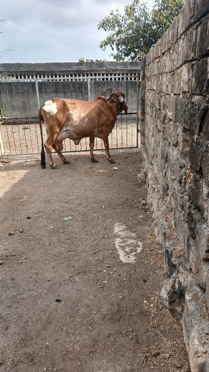 Post Image 2