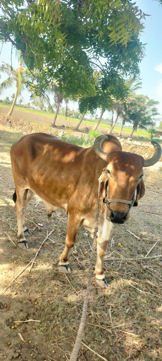 Post Image 3