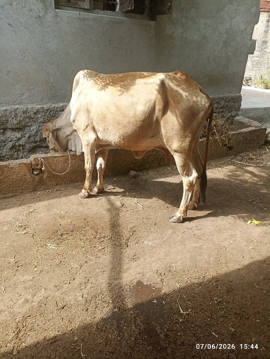 Post Image 2