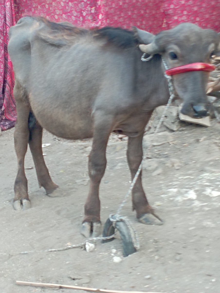 Post Image 2