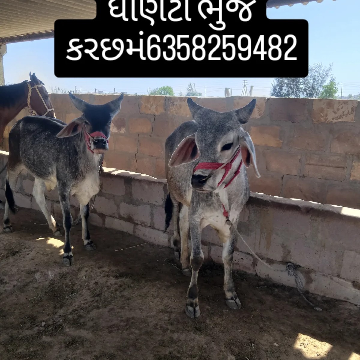 Post Image 3
