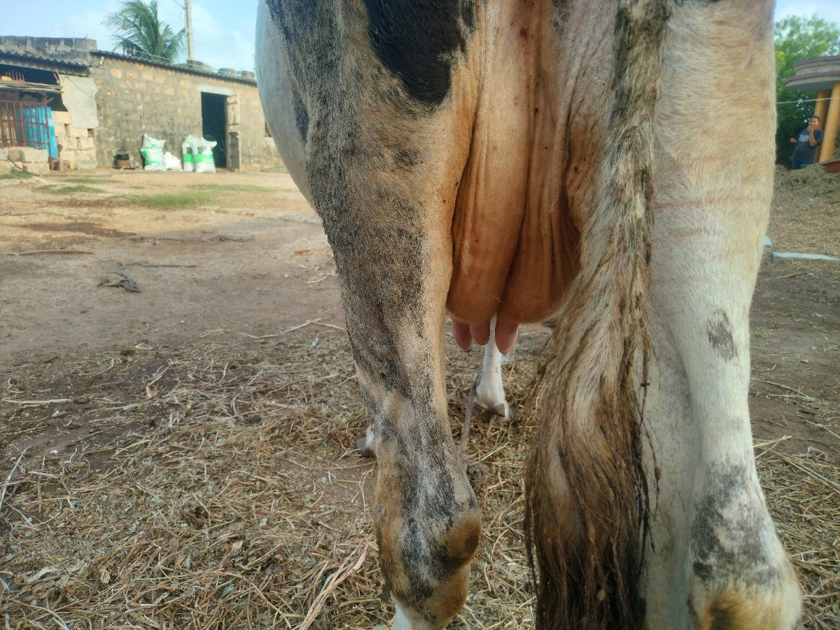 Post Image 3