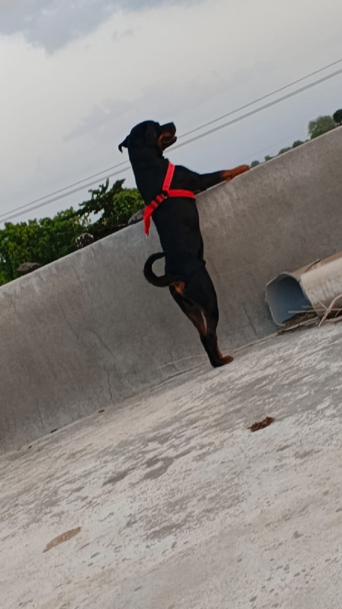 Post Image 3