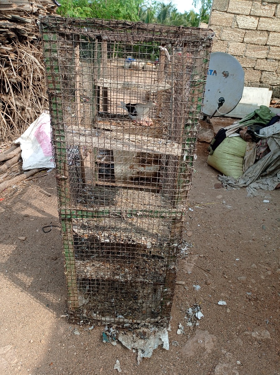 Post Image 2