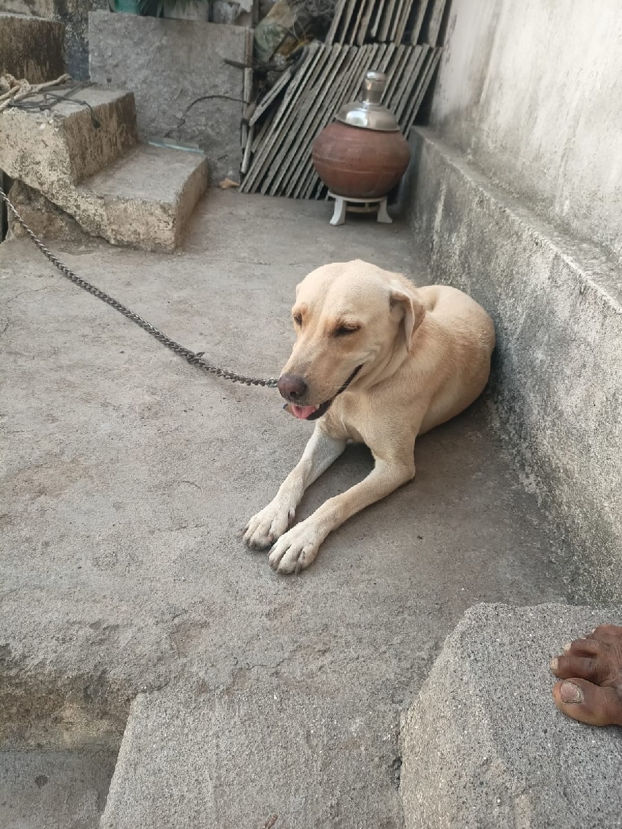 Post Image 1