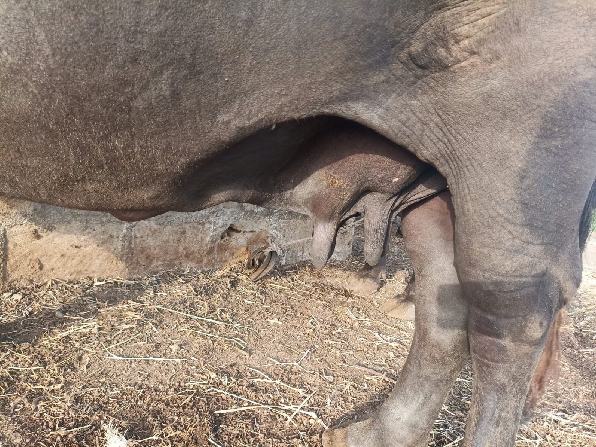 Post Image 2