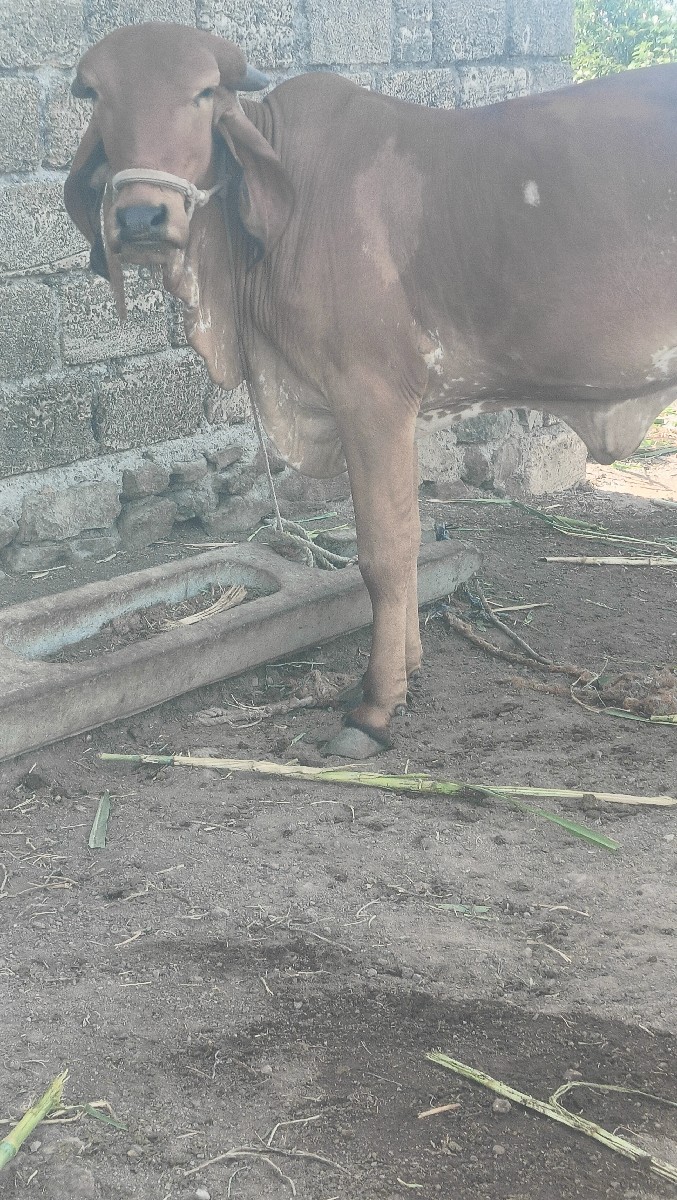 Post Image 4