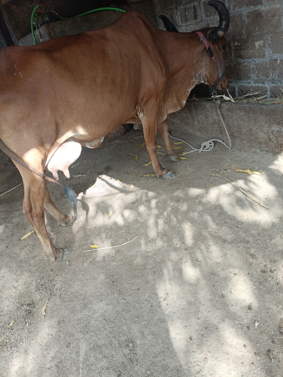 Post Image 2