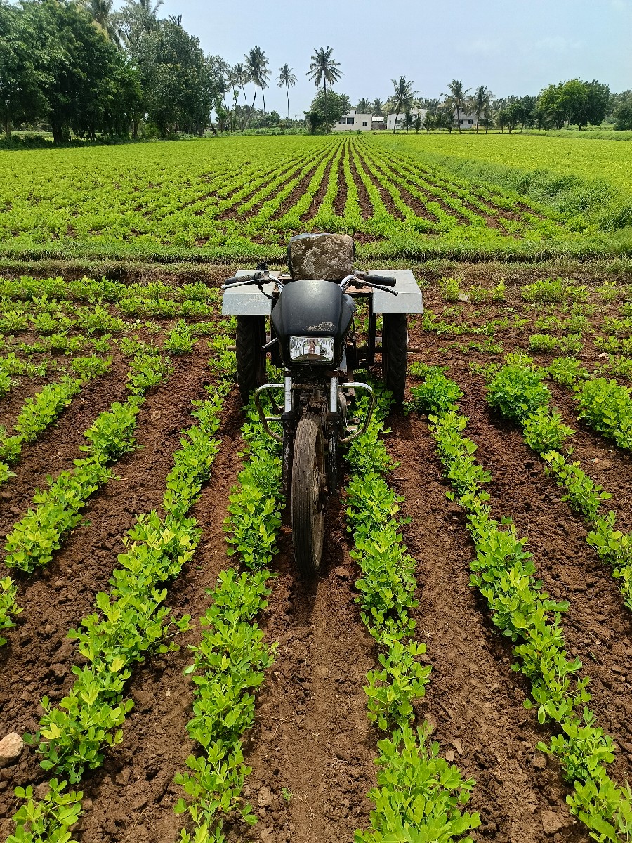 Post Image 2