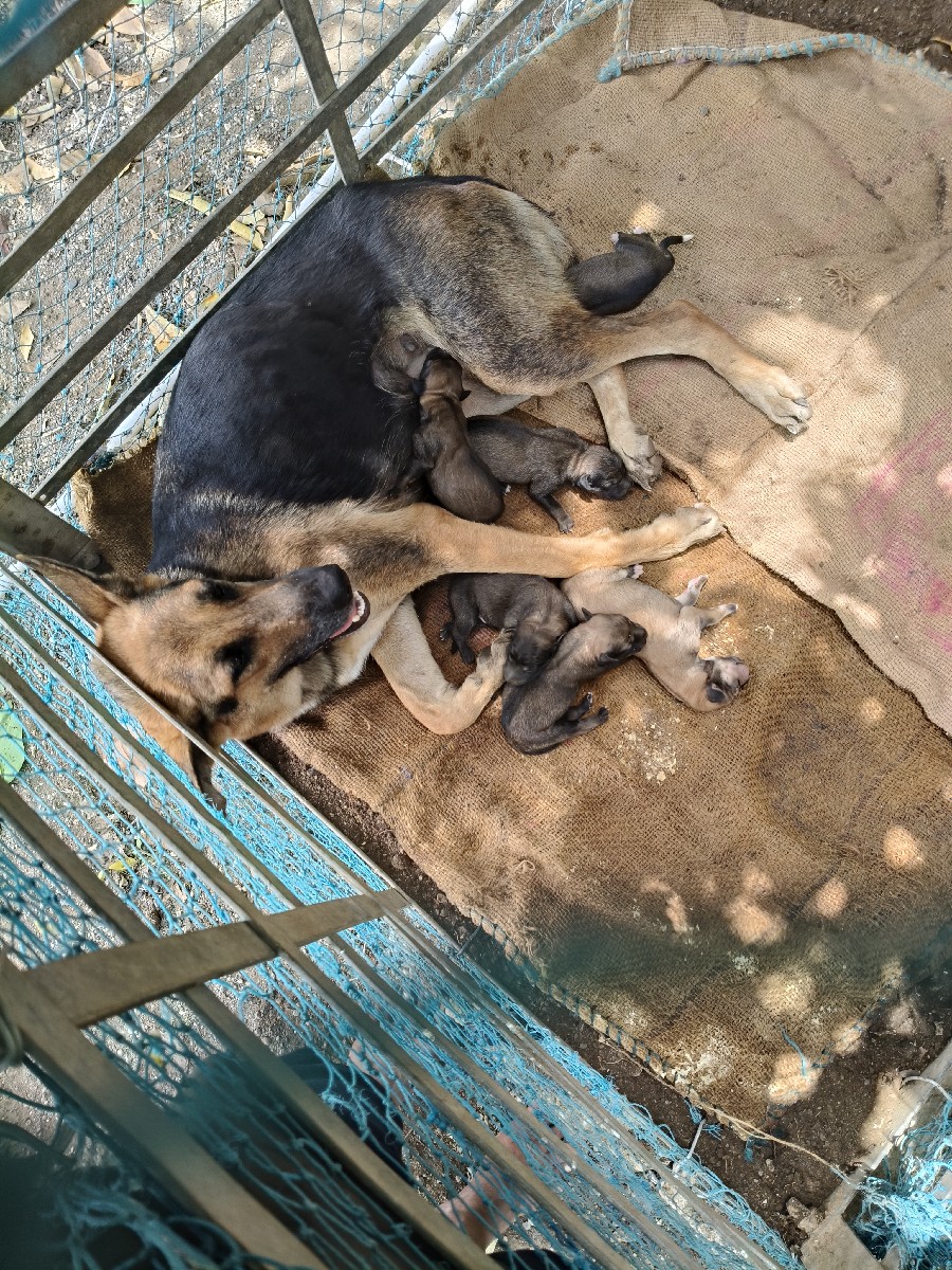 Post Image 3