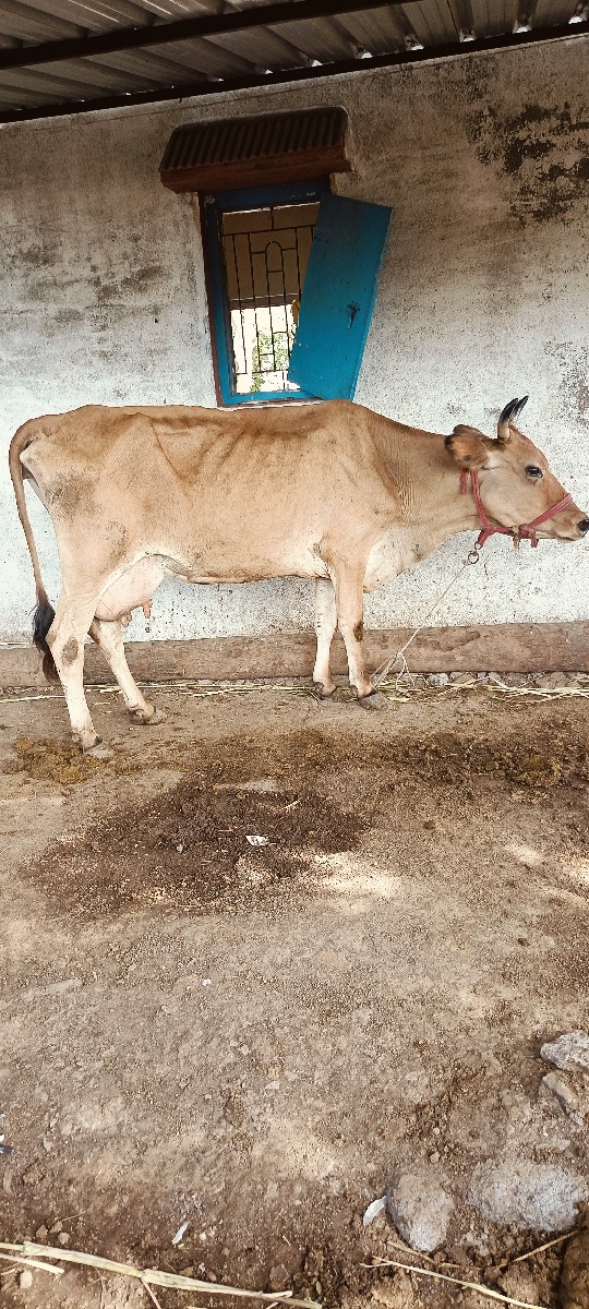 Post Image 3