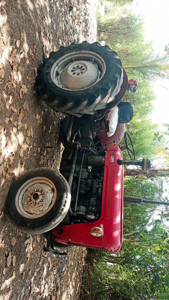 Post Image 2