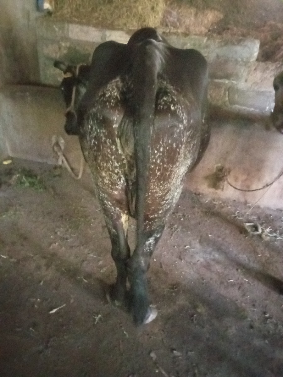 Post Image 3