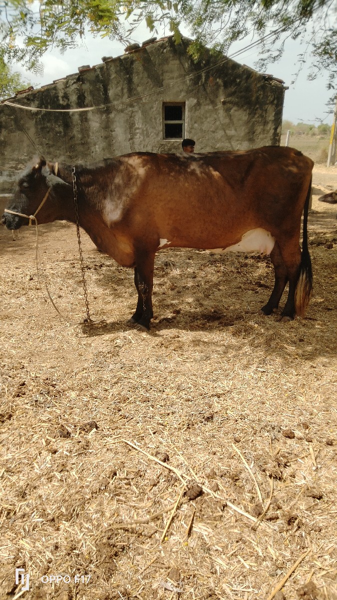 Post Image 2