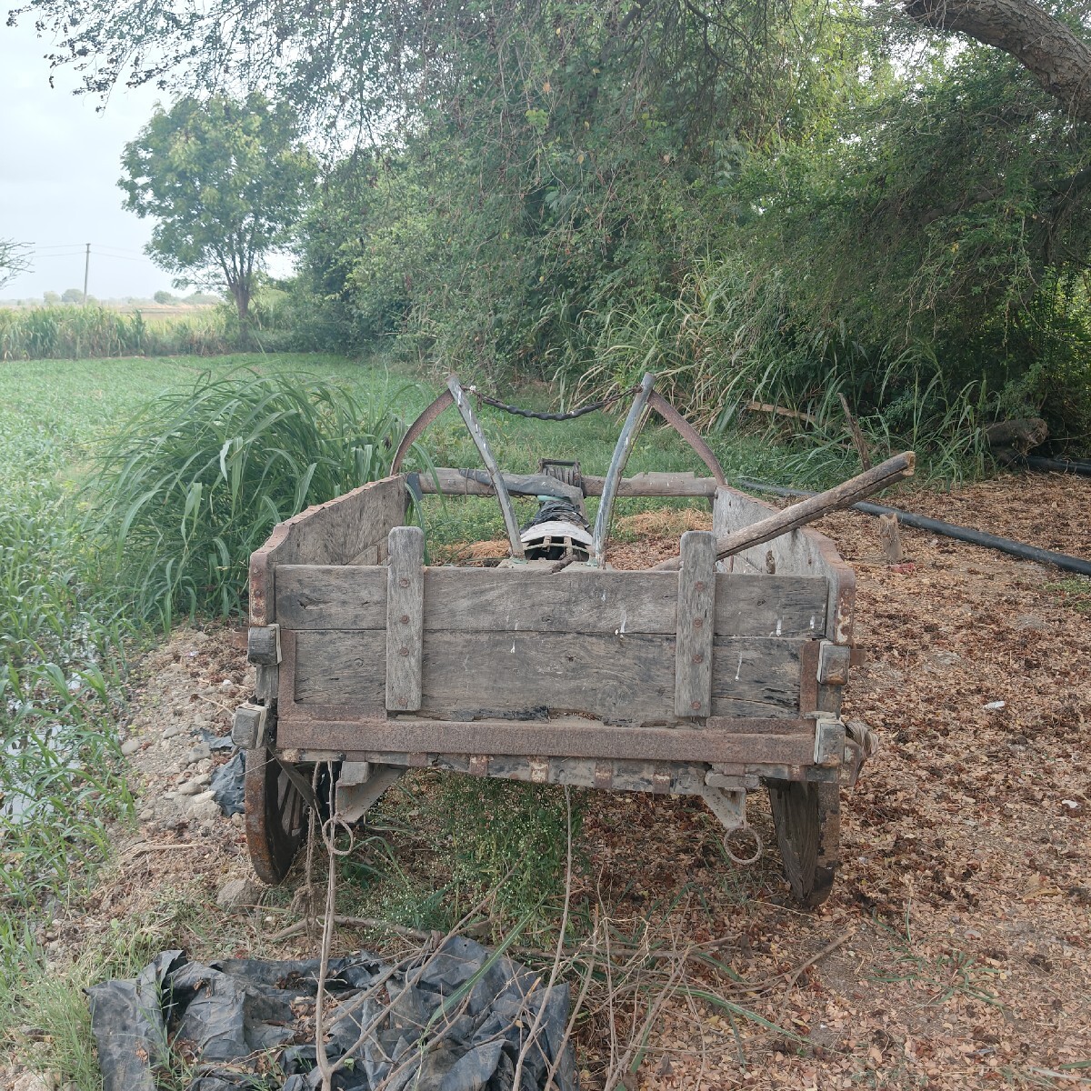 Post Image 2