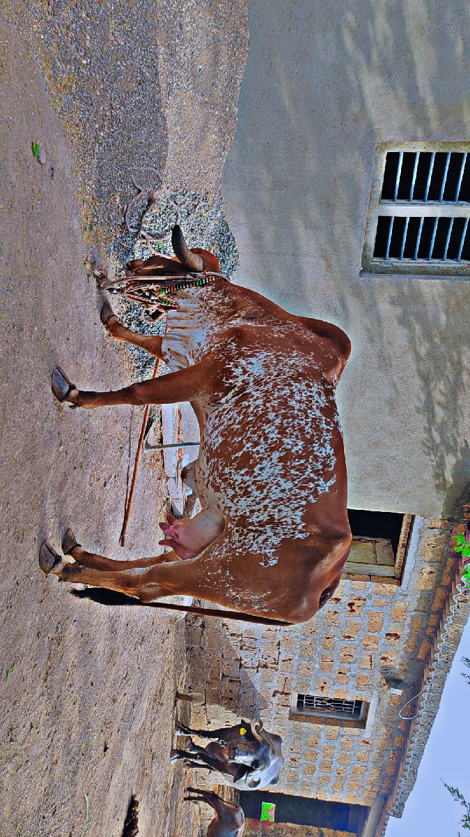 Post Image 2