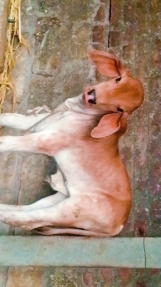 Post Image 2