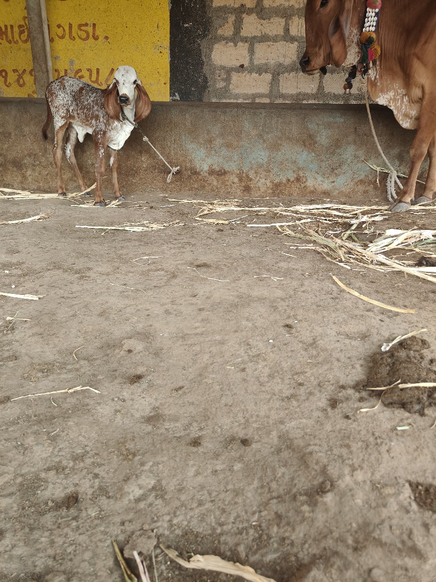 Post Image 4
