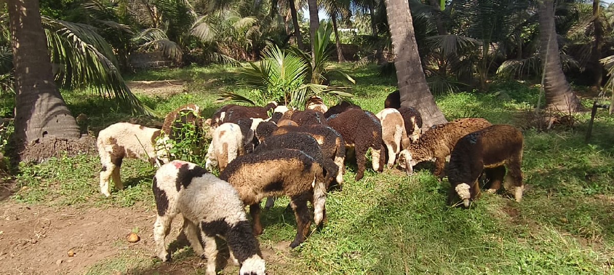 Post Image 2