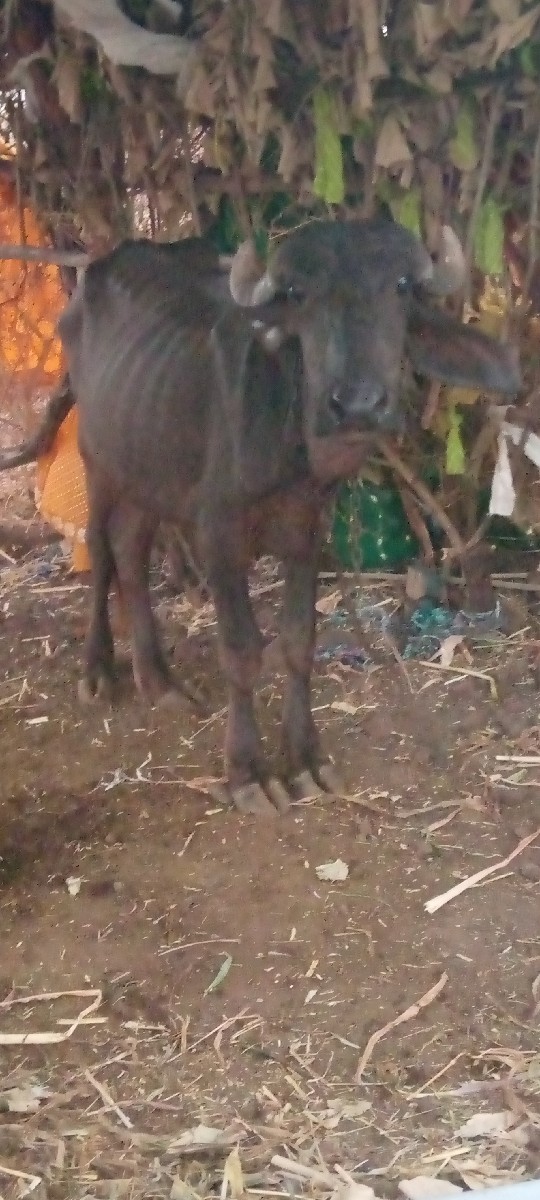 Post Image 2