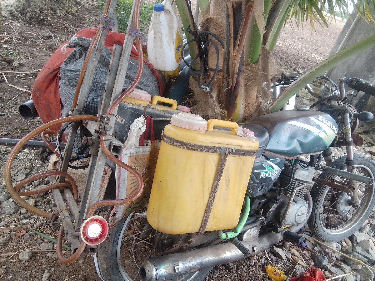 Post Image 2