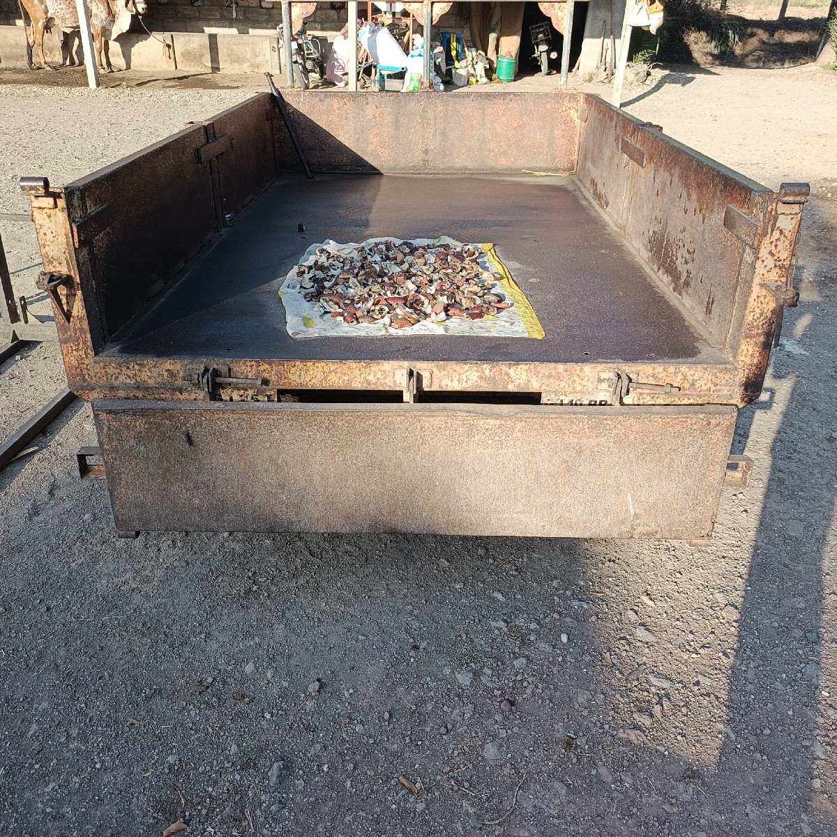 Post Image 3