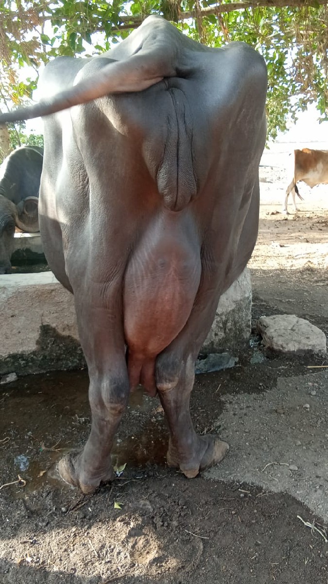 Post Image 2