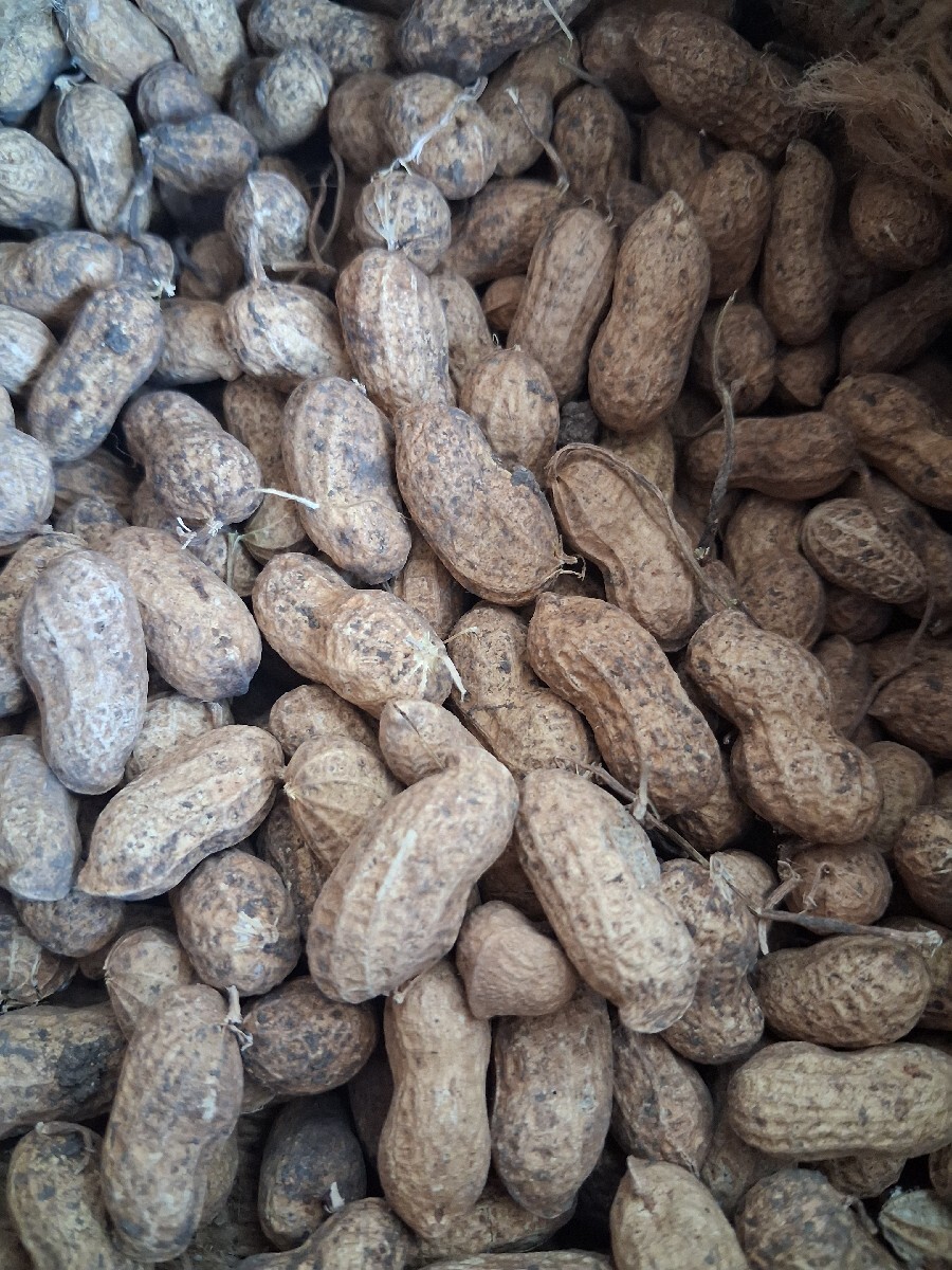 Post Image 4