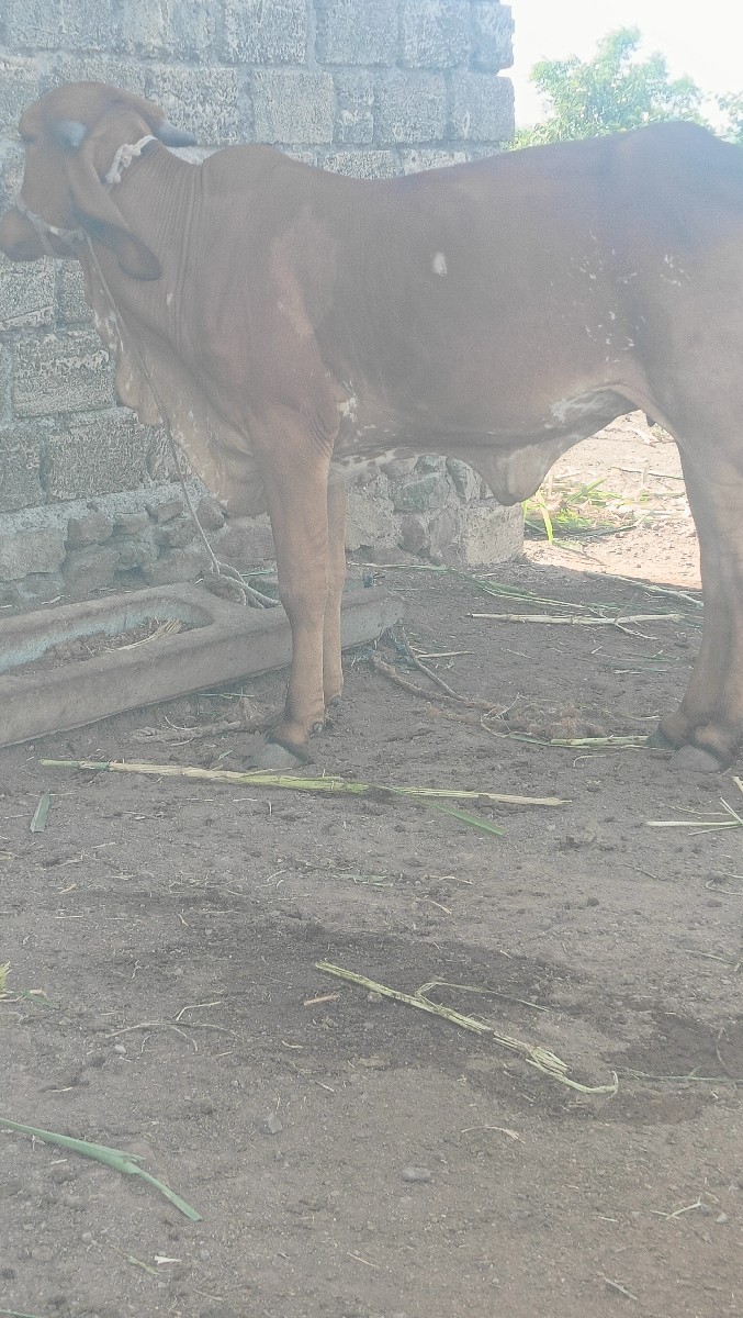 Post Image 3