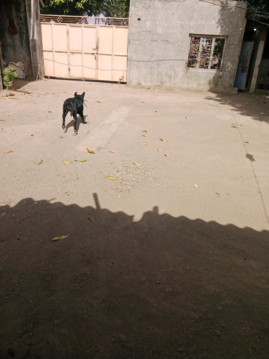 Post Image 1