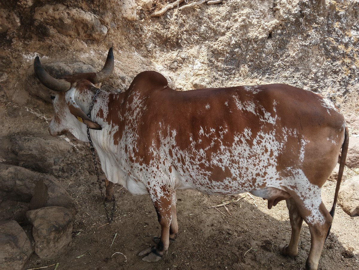Post Image 2