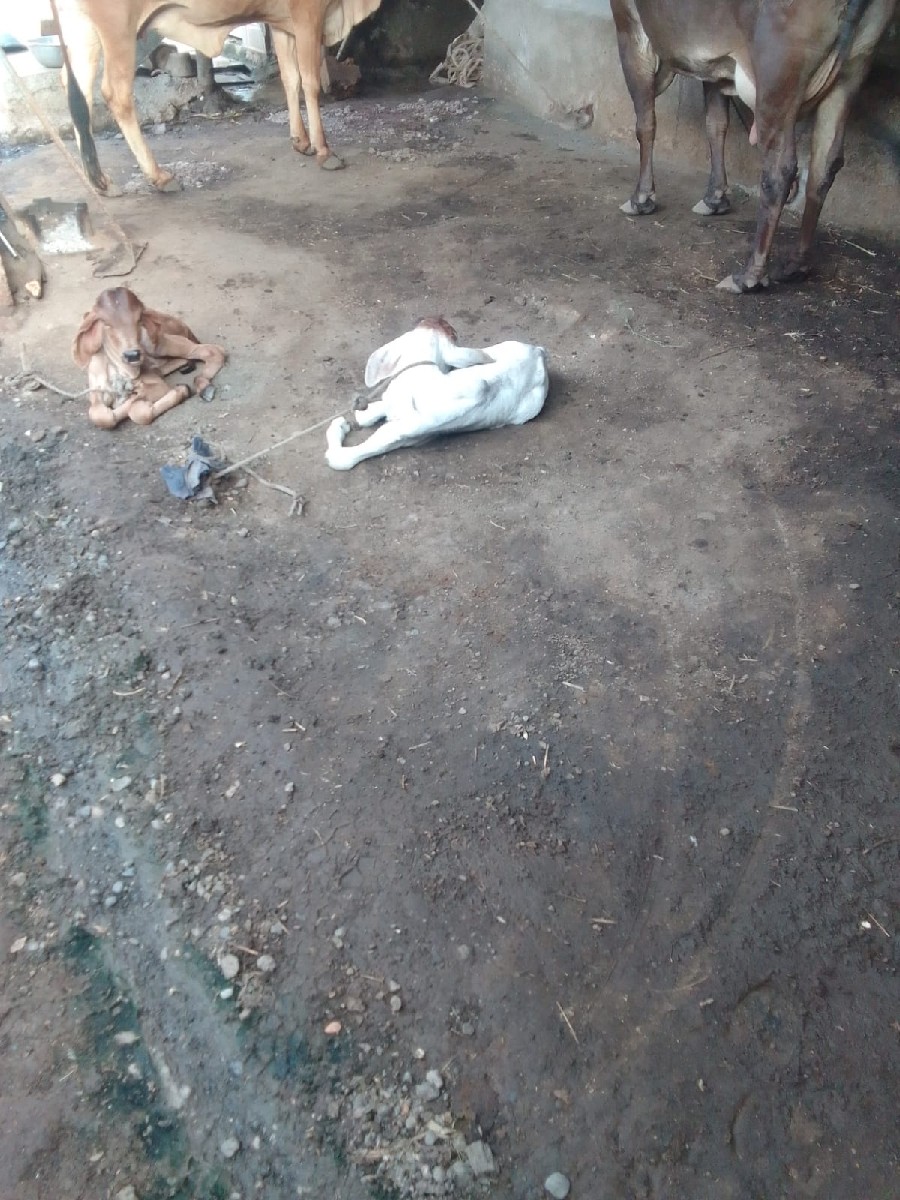 Post Image 3