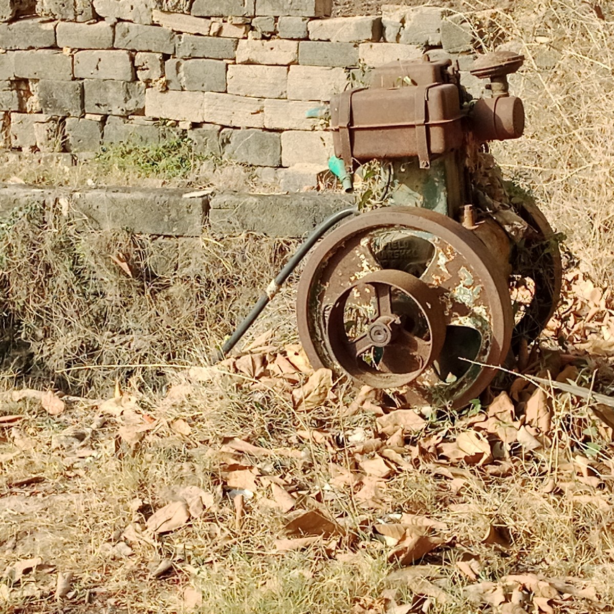 Post Image 2