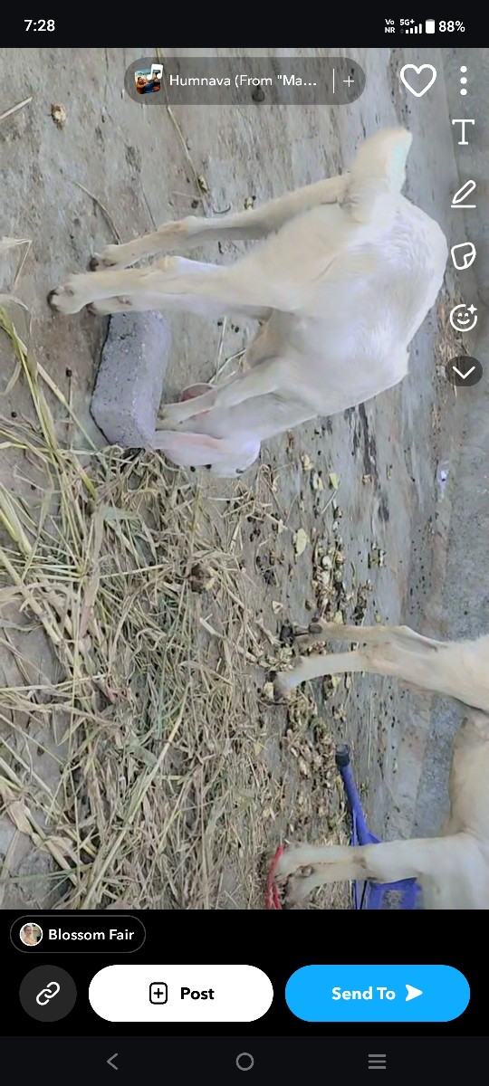 Post Image 3