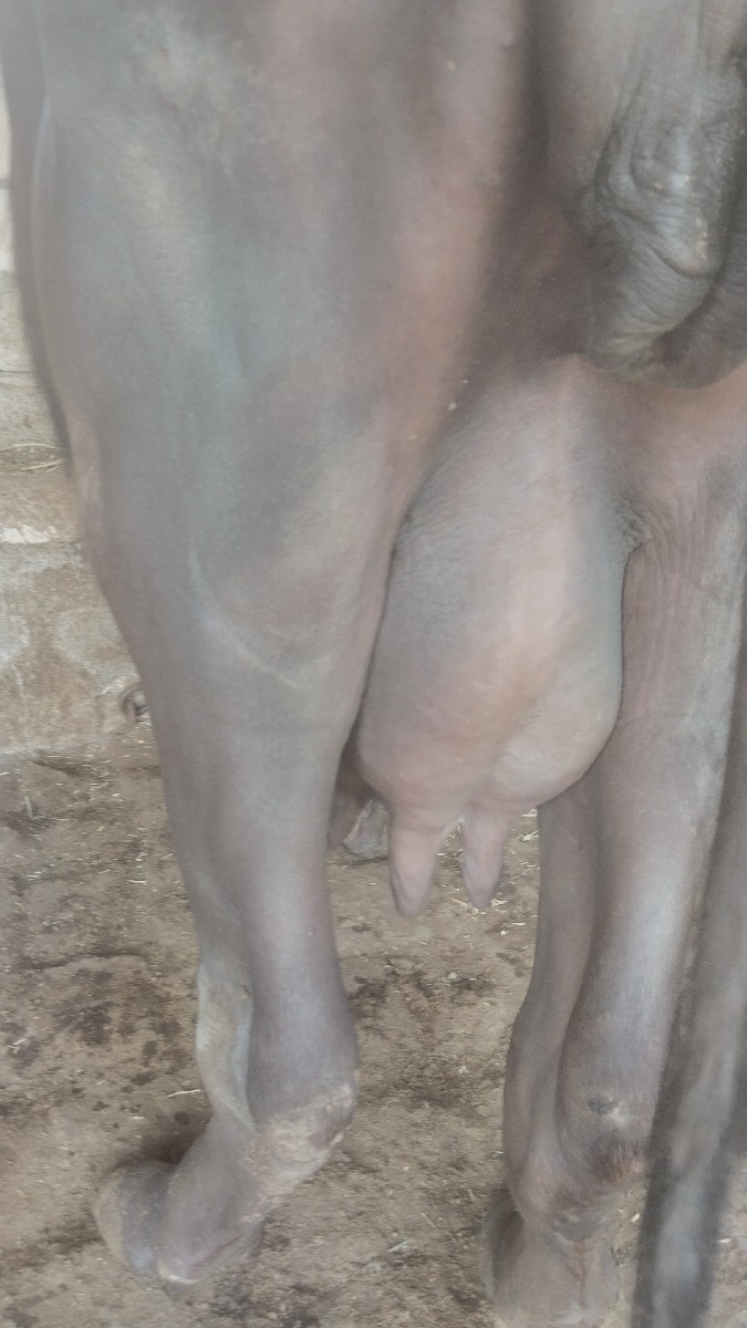 Post Image 2