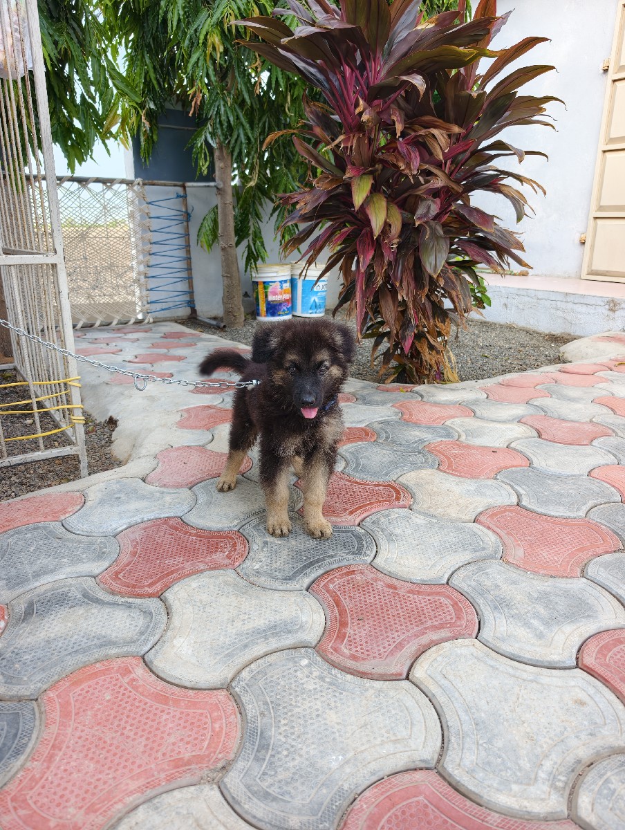 Post Image 3